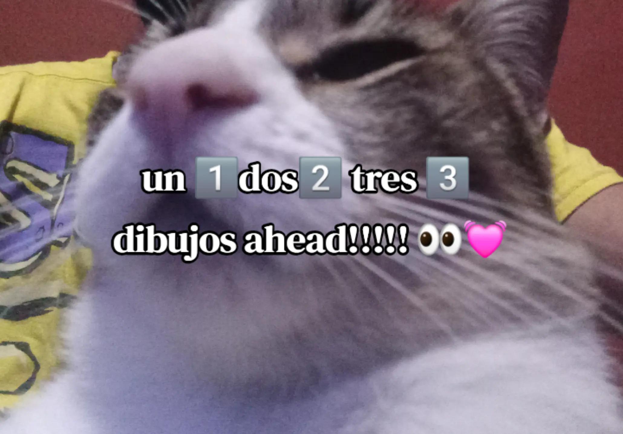 @liammuuu