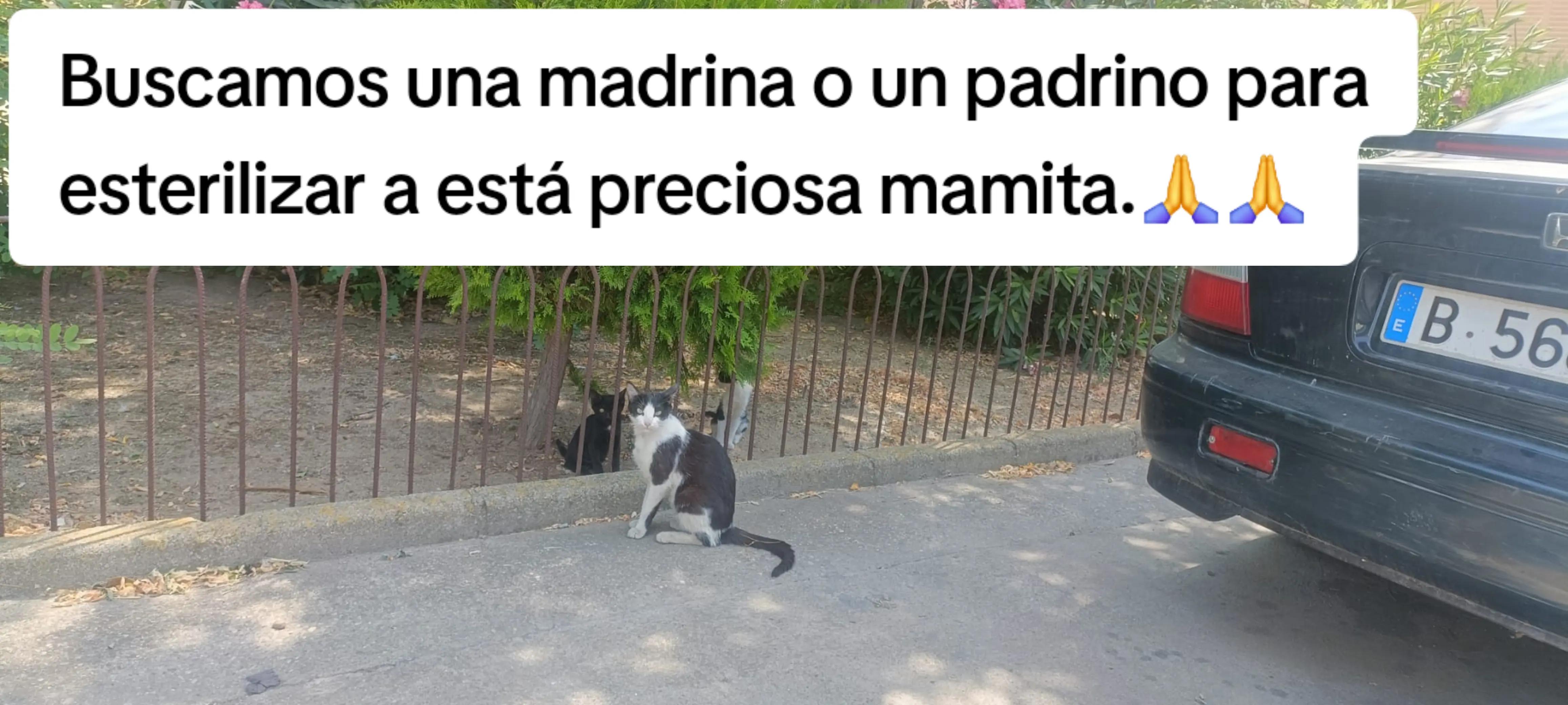 @garritasespaciales
