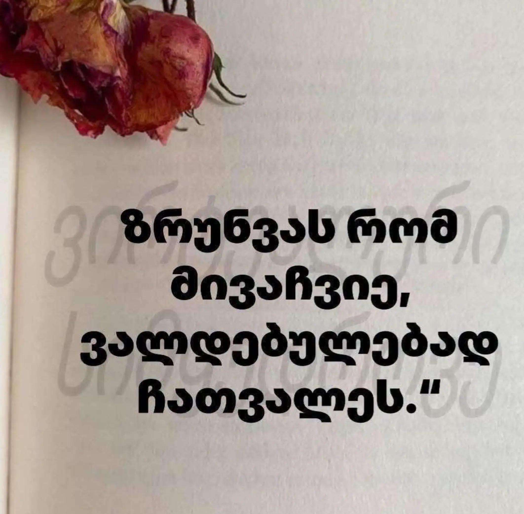 @TEKO๐ฆ๐ค