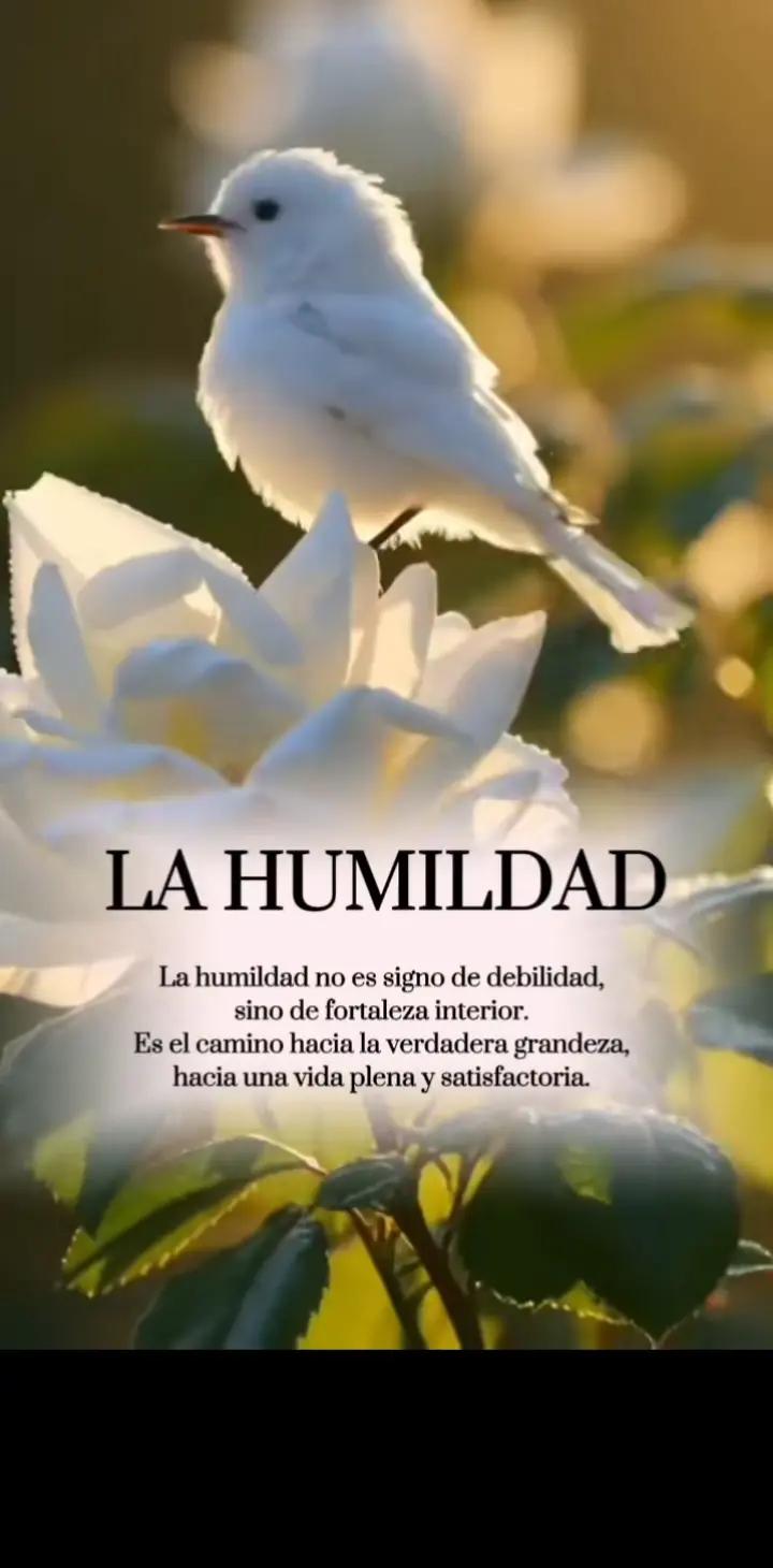 @Reflexiones.