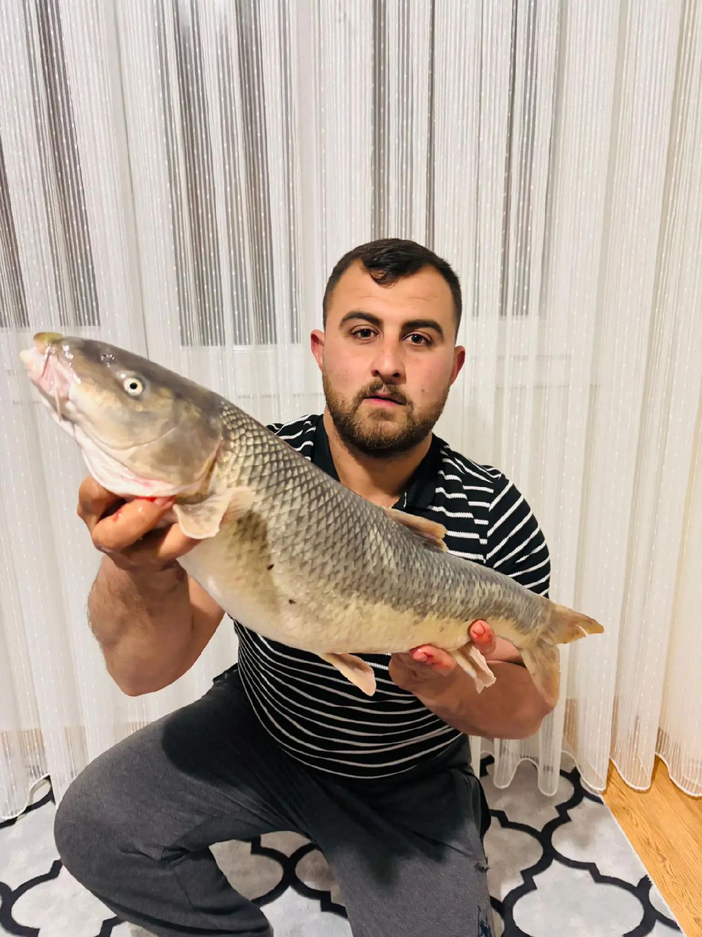 @ibrahim odabaş