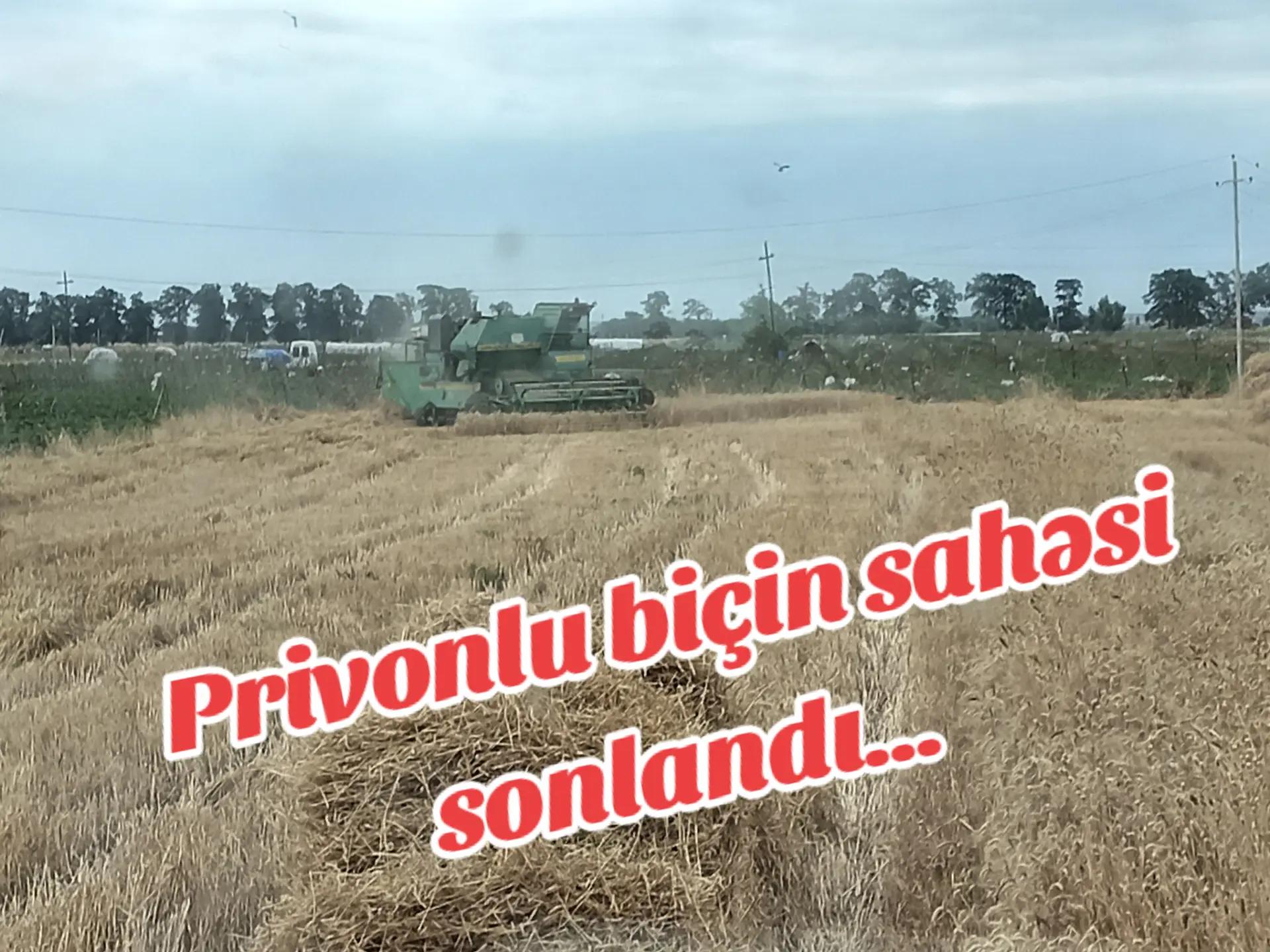 @Traktor_Aləmi