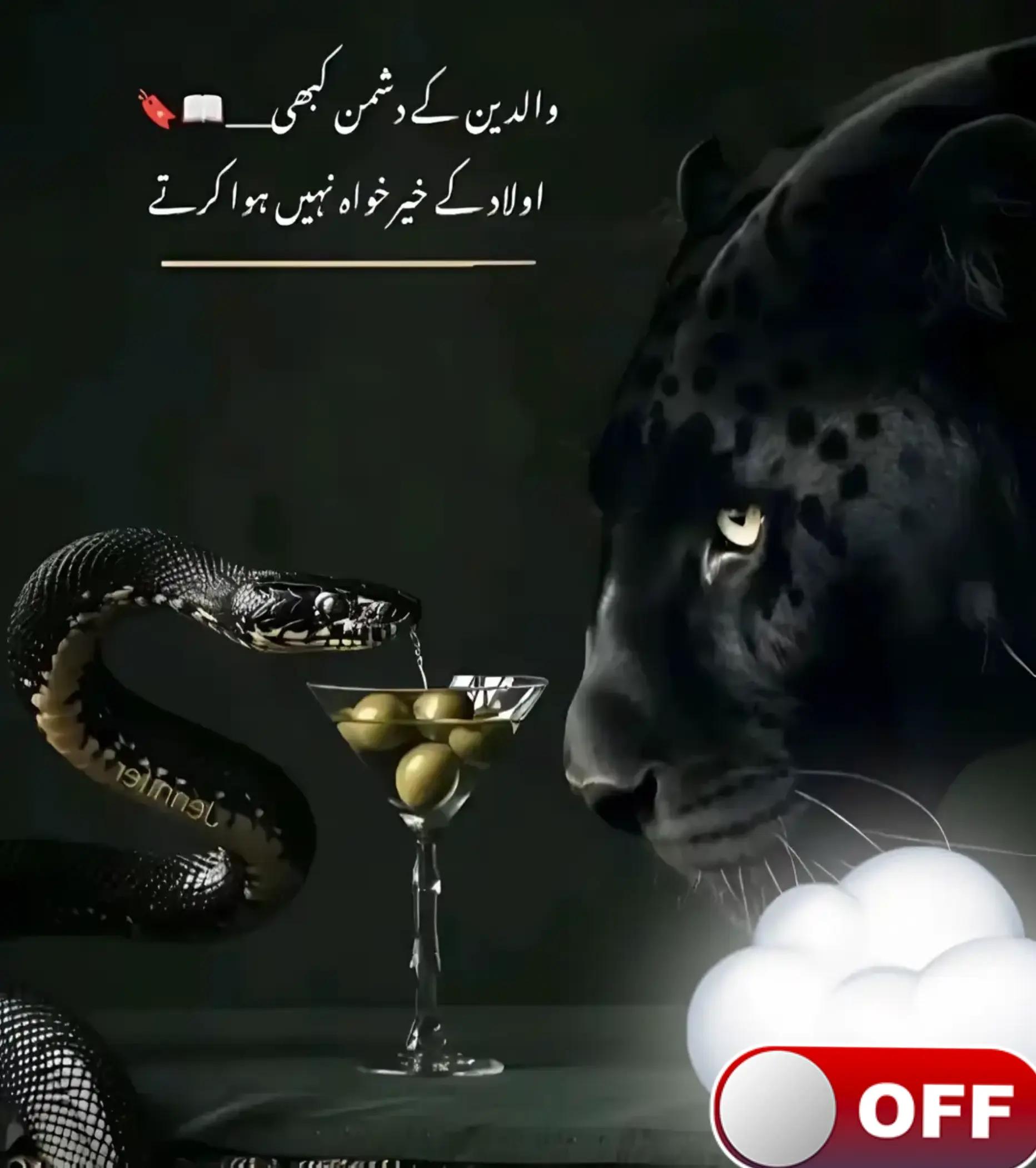 @💯❤️ماں کے لاڈلے♥️💯