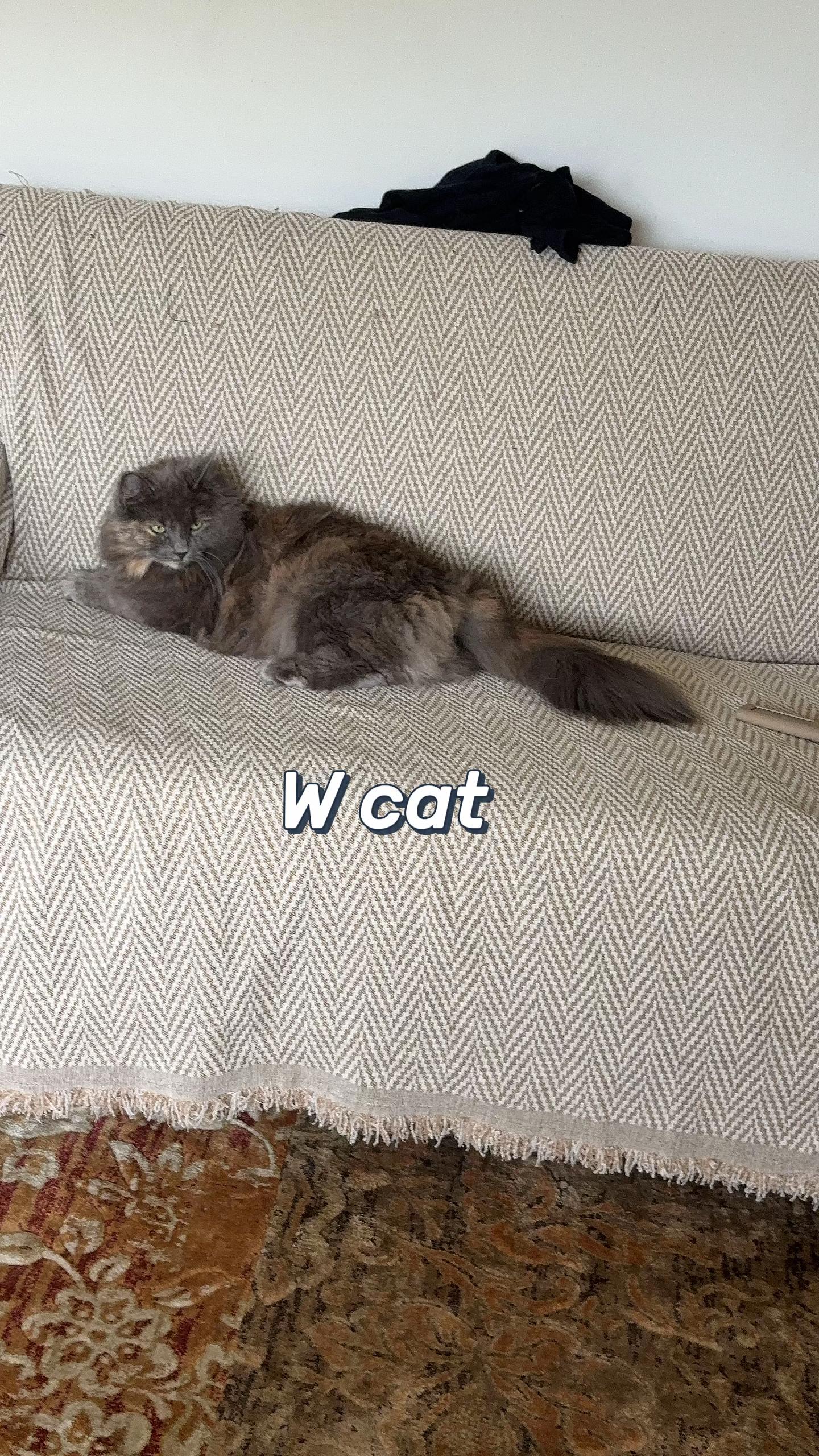 @โ