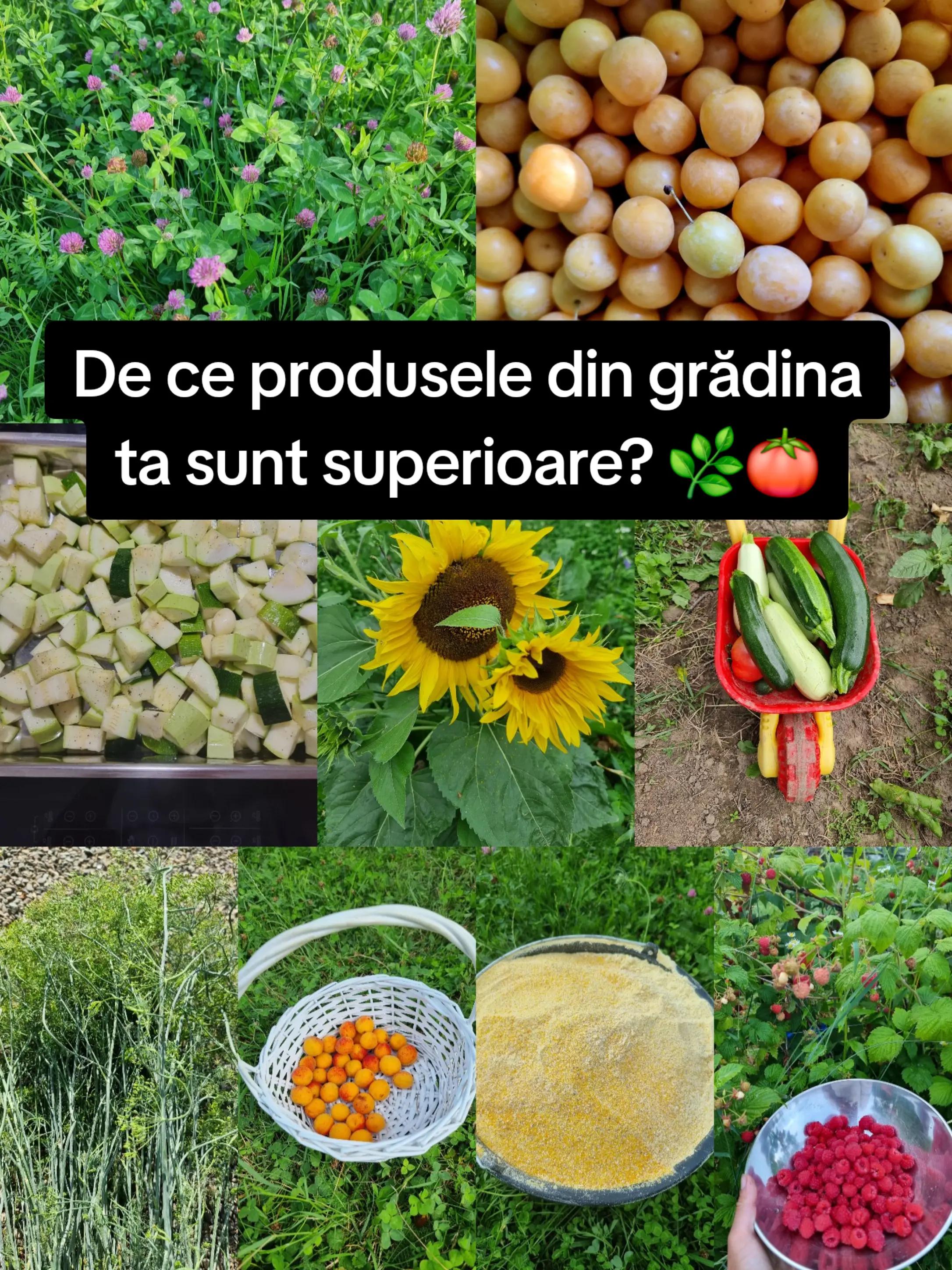 @🍎Din natură & Din tradiție