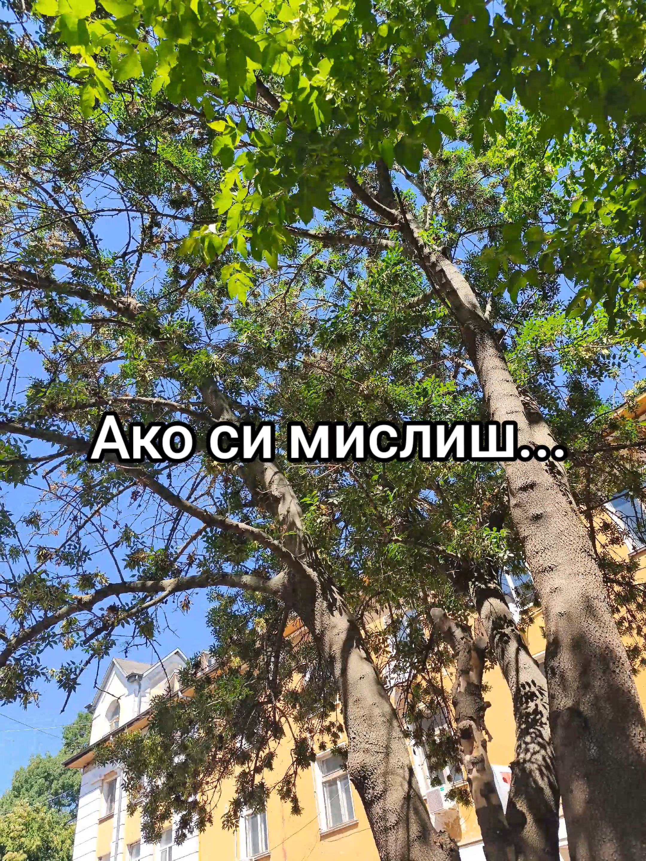 @💥Georgiev_07💥