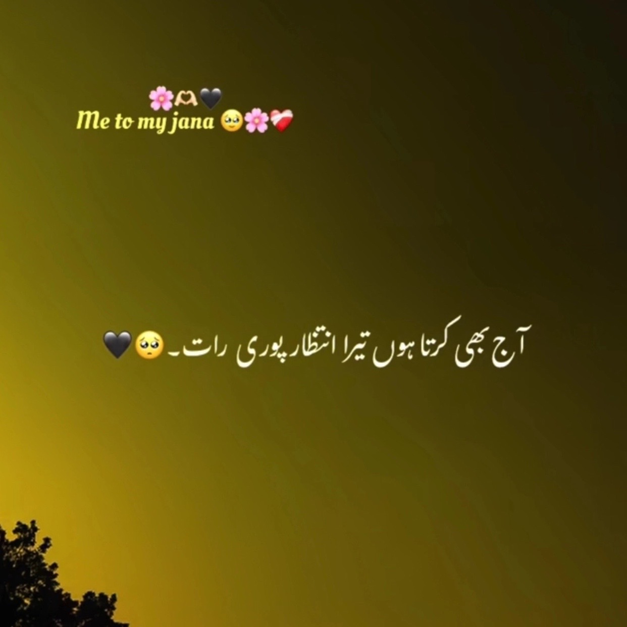 @Ayesha Khan