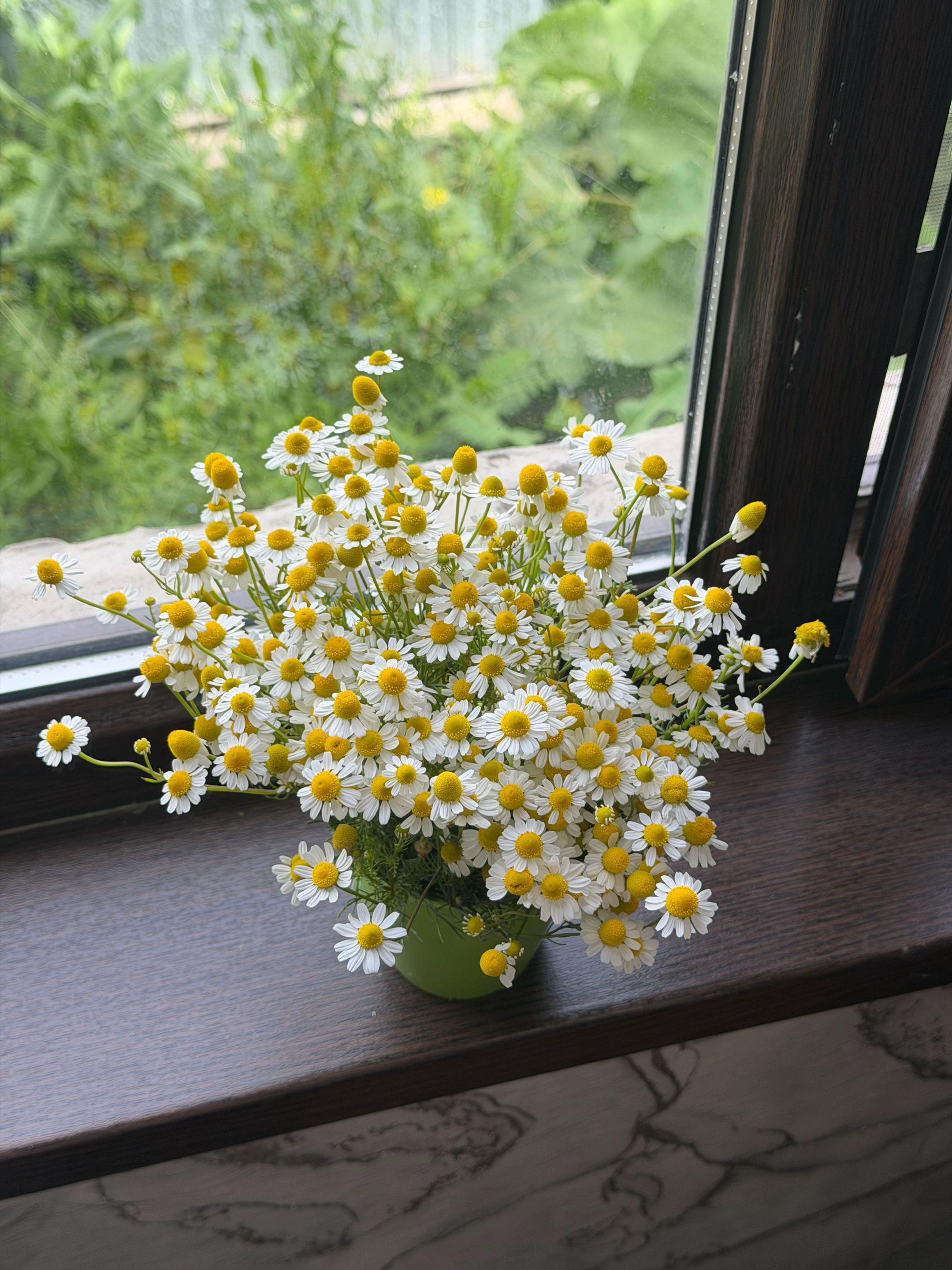 @Зарема Турсынбаева
