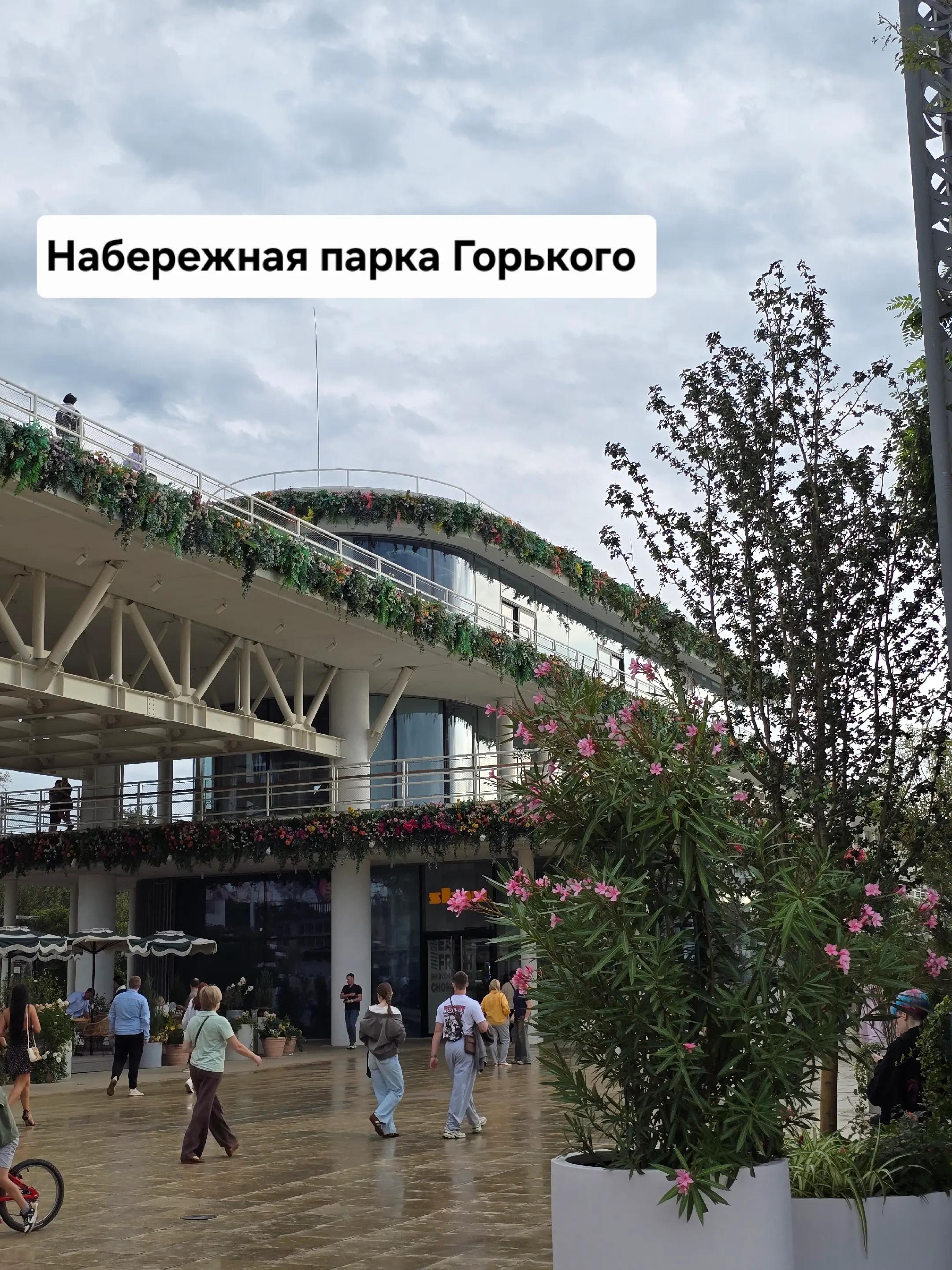 @Сыркина