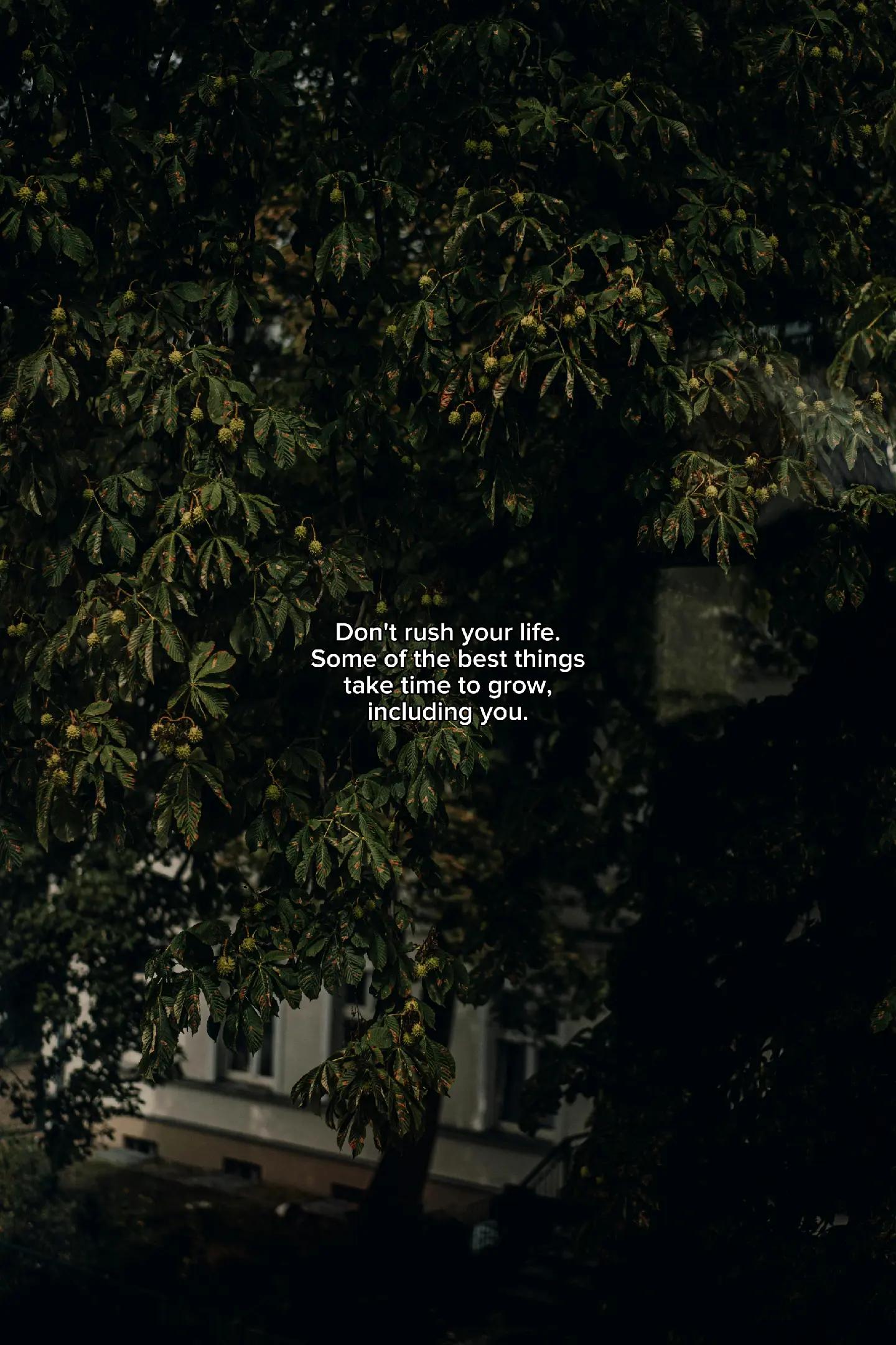 @HEALING QUOTES