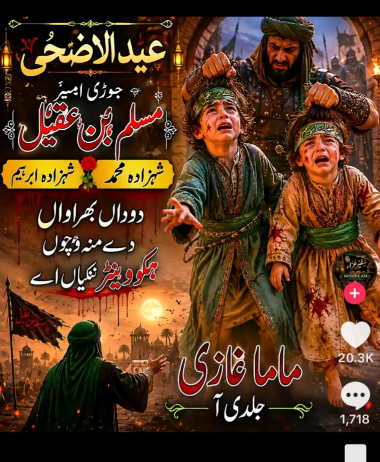 @🇵🇰 Tariq Ali Chandio ❤