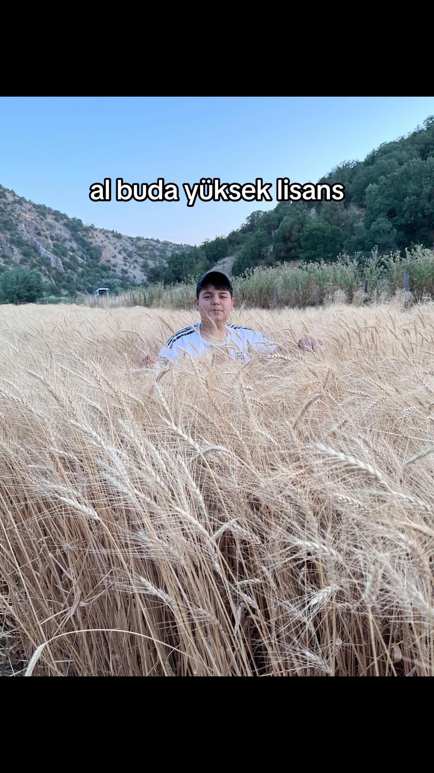 @ลABAN KOLTKA