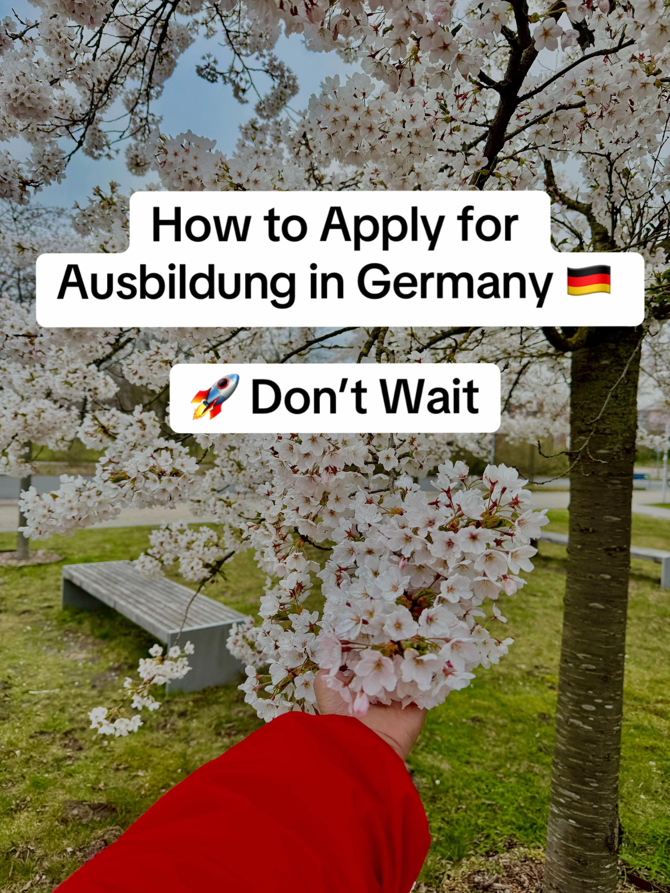 @Travel With Sudu in🇩🇪Germany