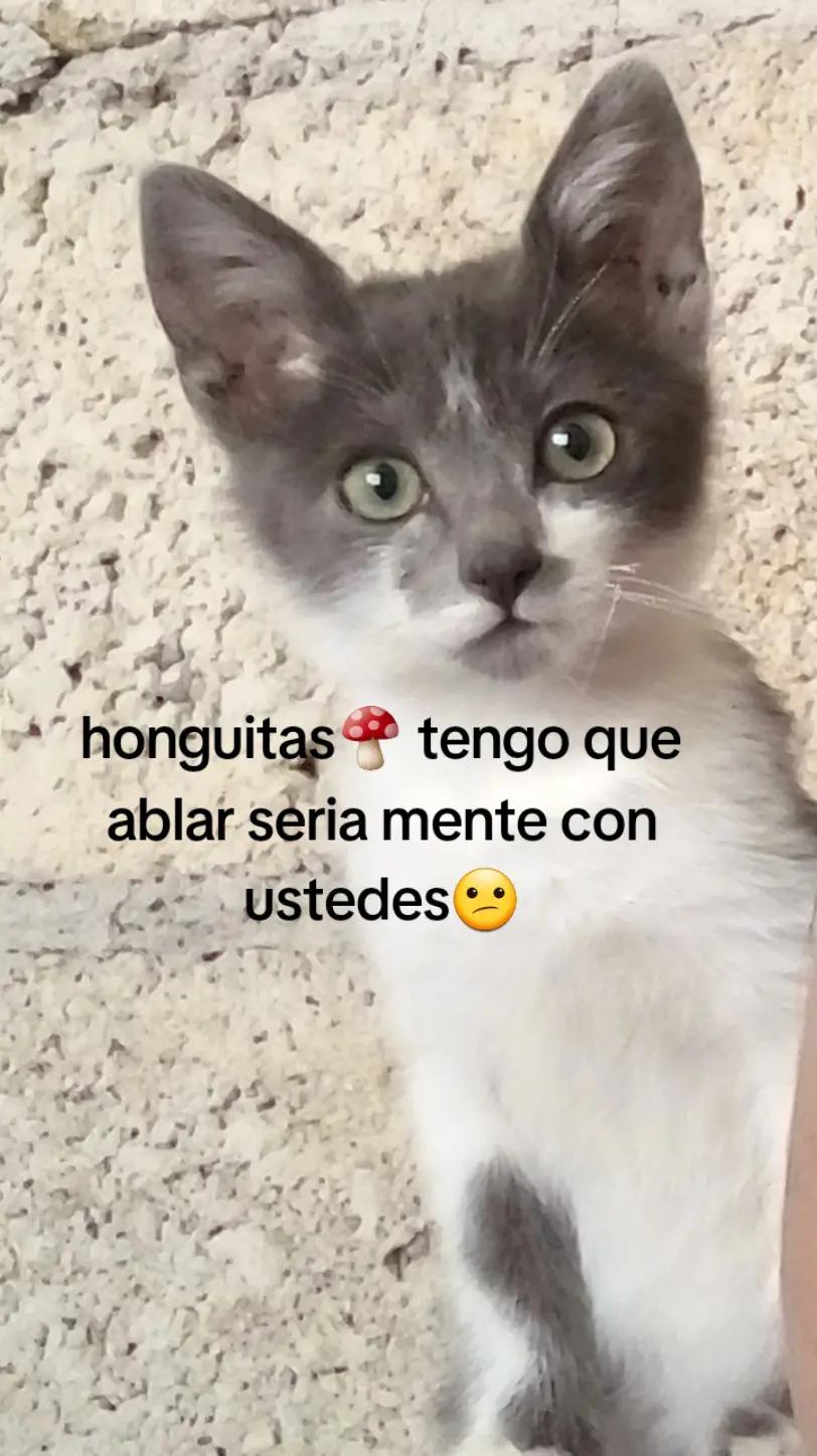 @MARIA ☆😸