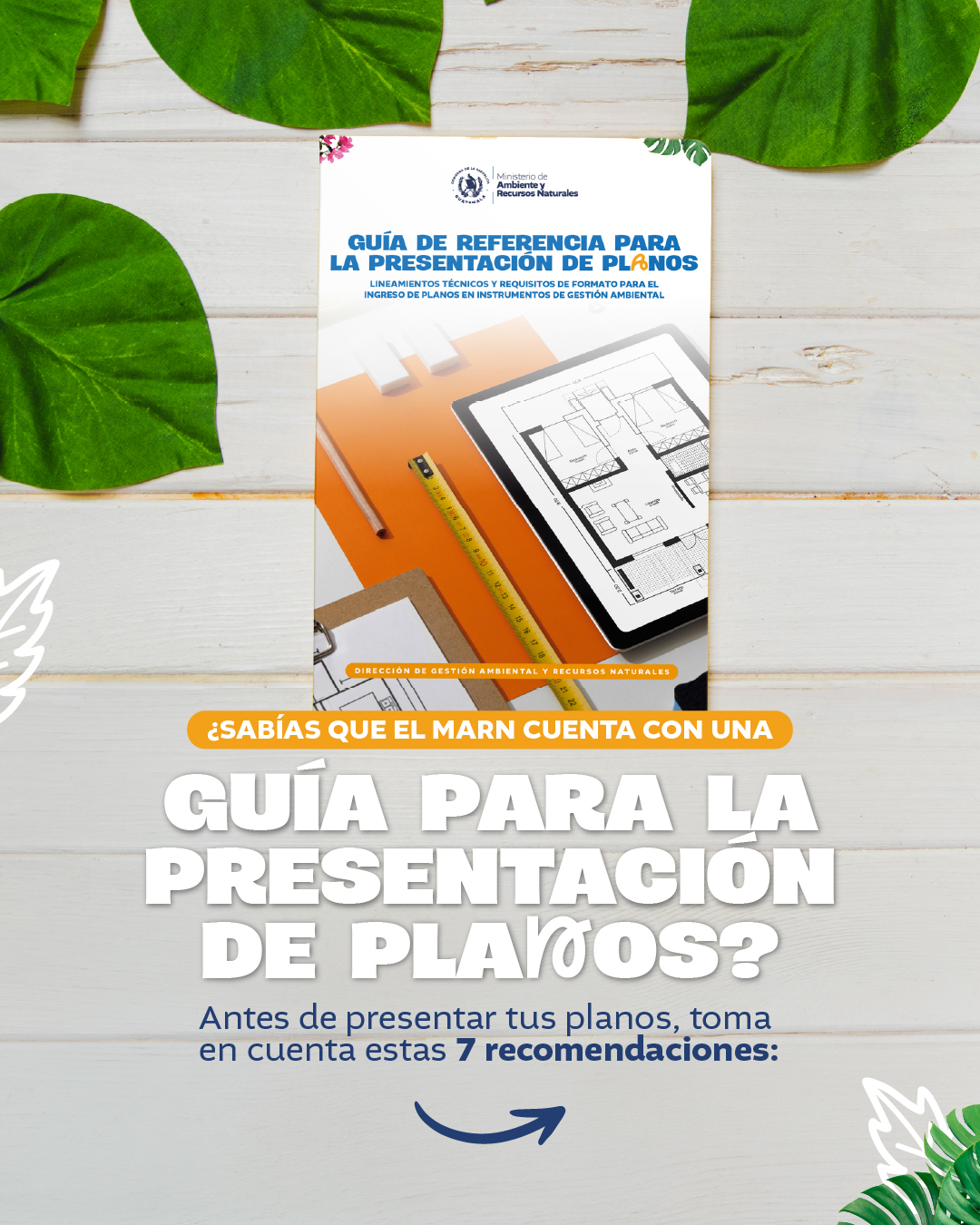 @Ministerio de Ambiente GT