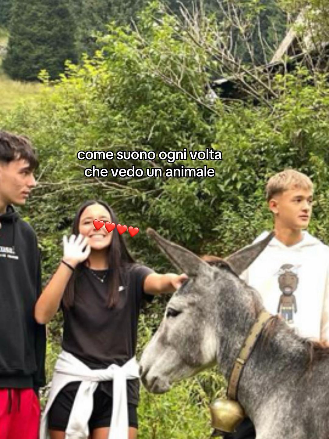 @verix2