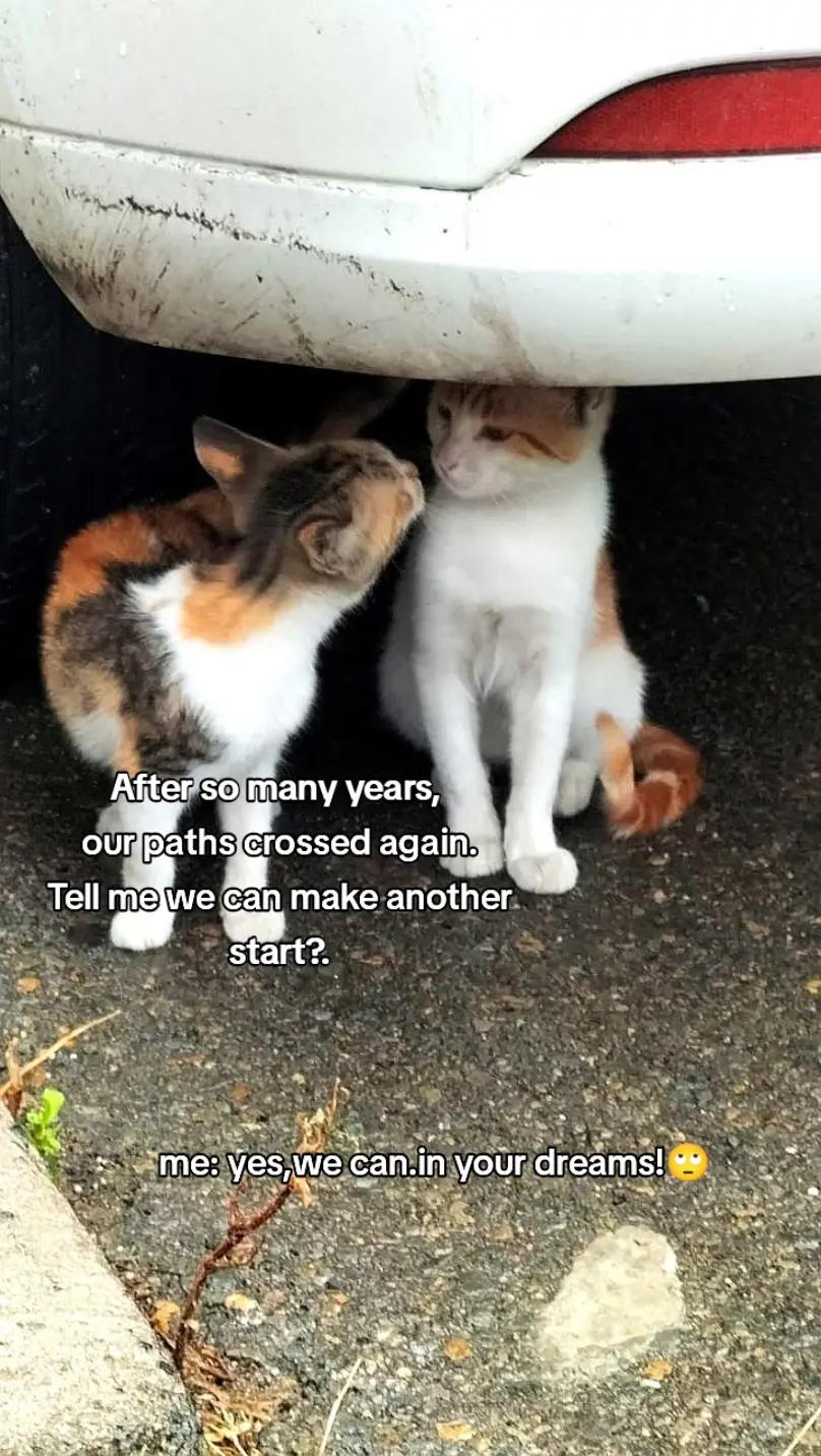 @ishie0596💞