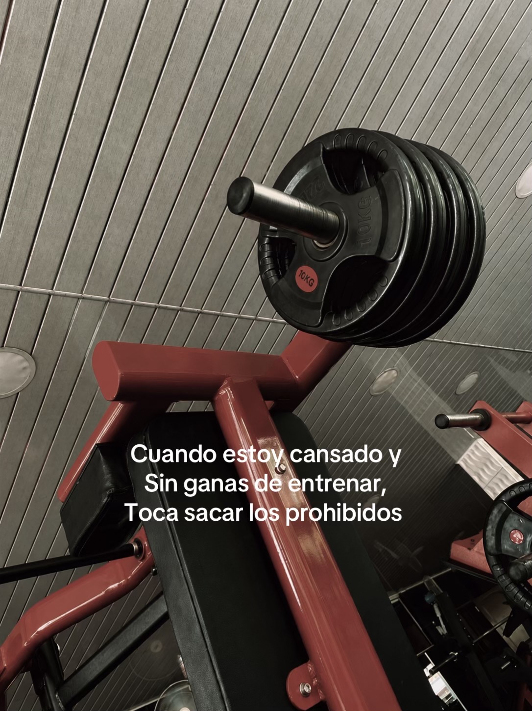 @Alxn.zin
