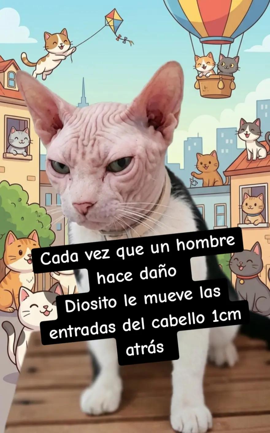 @Rowss Dawzon
