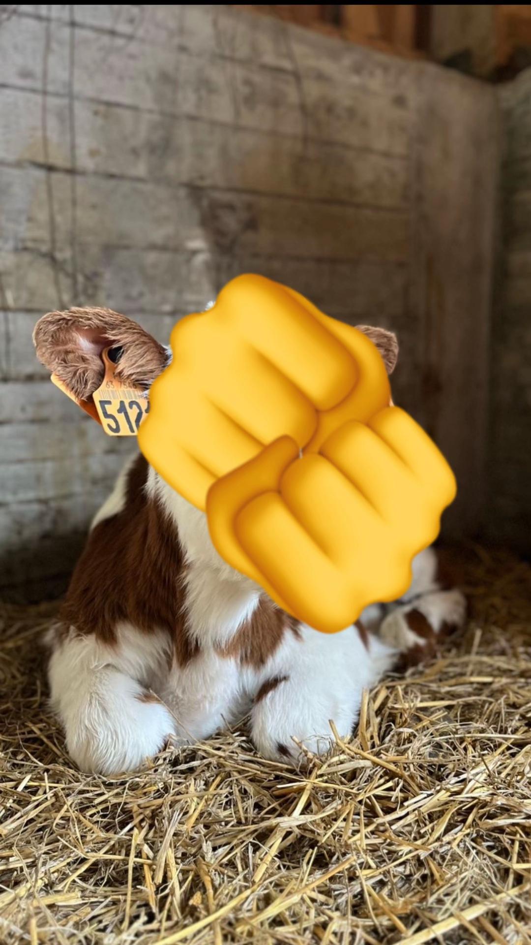 @leo_jrd13