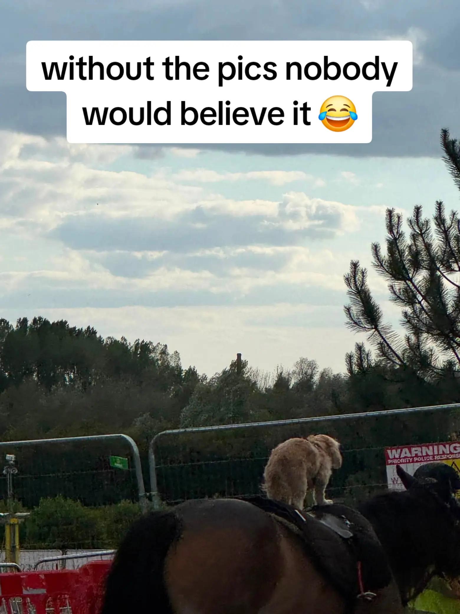 @doubledeckerbusdriver