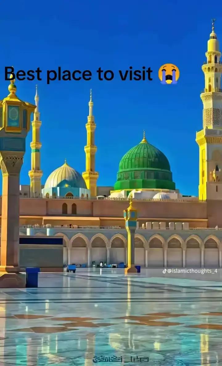 @inzamam jani
