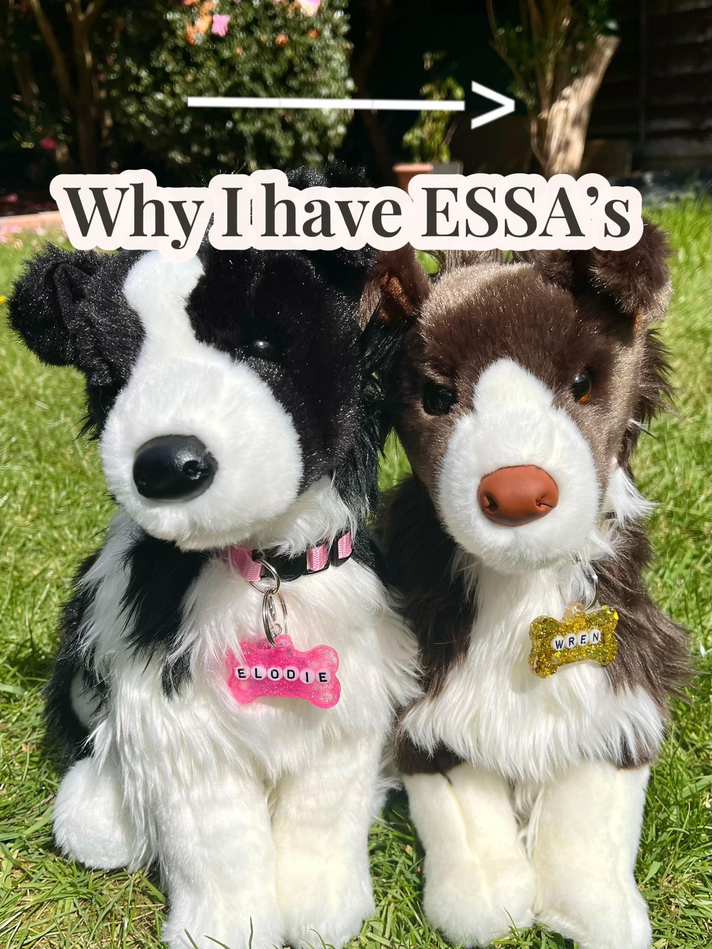 @The Essa Diaries