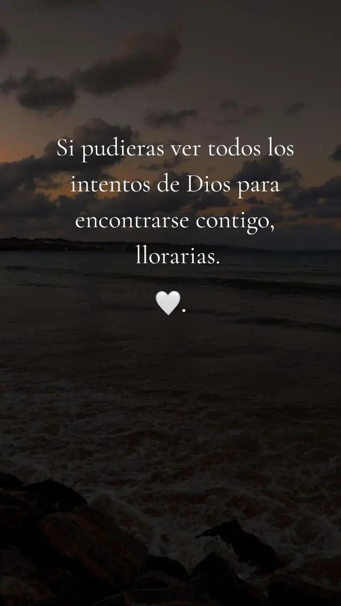 @Andreina Liendo 🌺