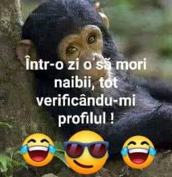 @obaciulucica