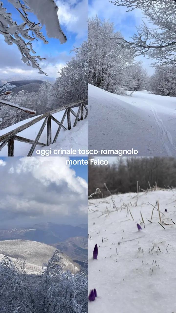 @adrianadidomenico2