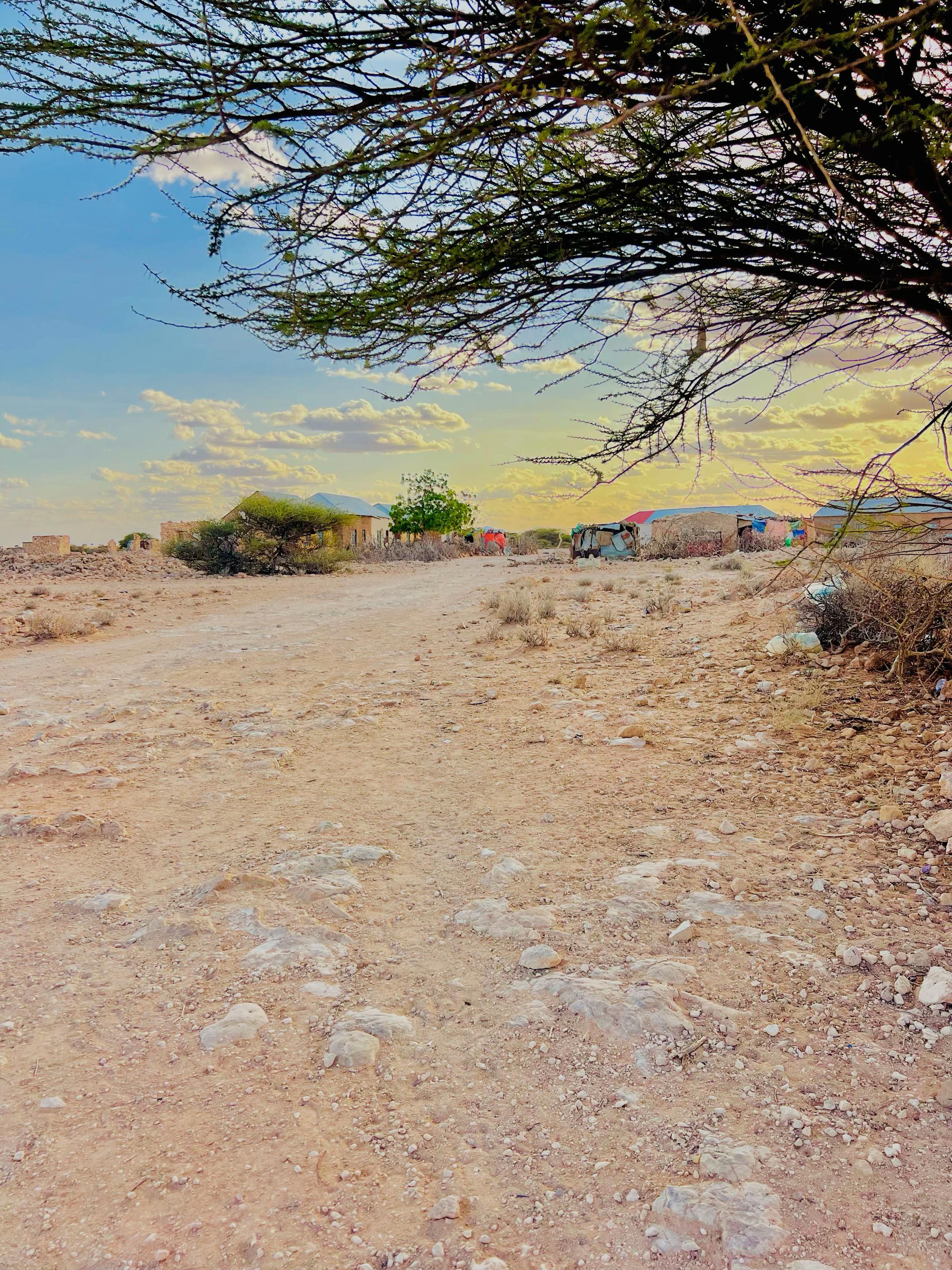 @Anas waaya36
