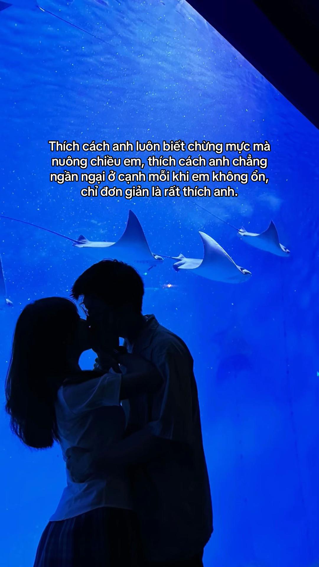 @Sương lam tinh t&uacute; ❄️