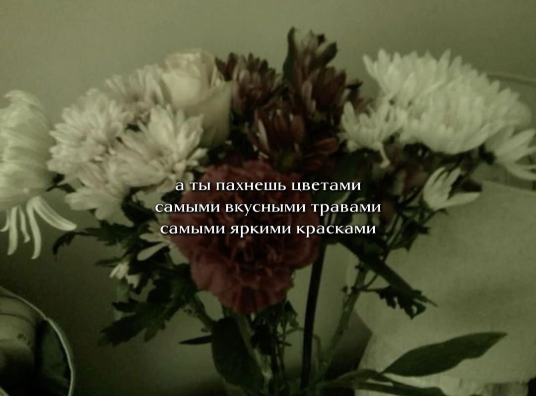 @вирксис