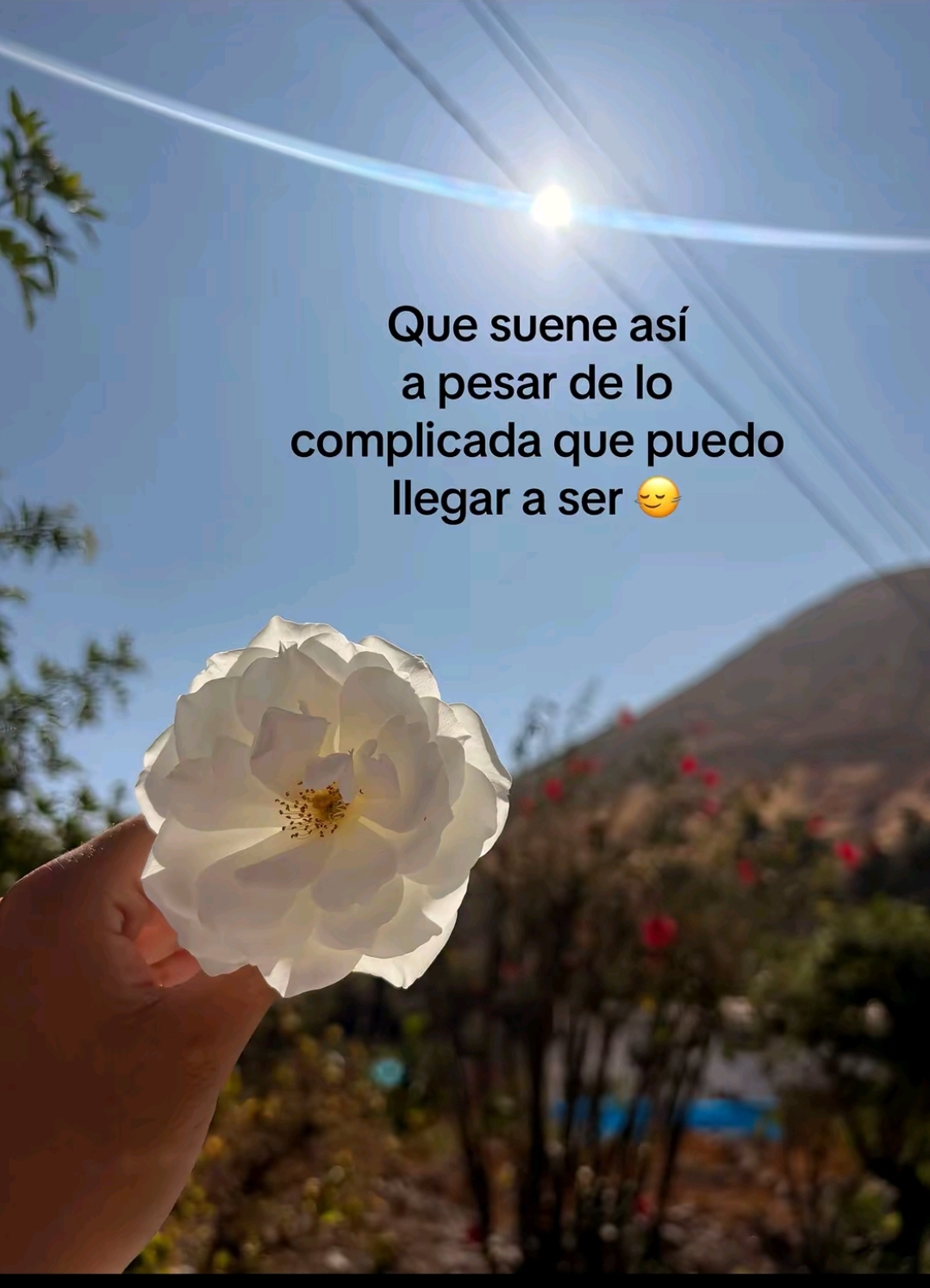 @💗mila