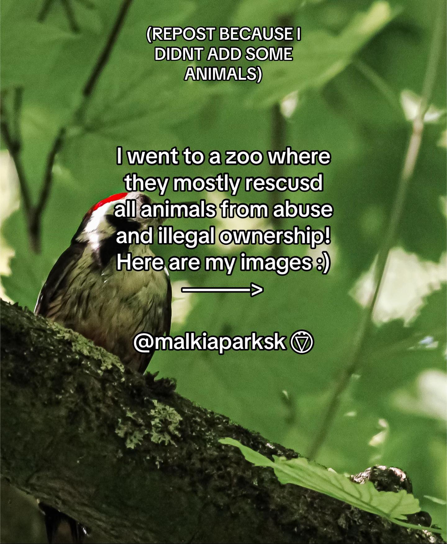 @ᘏSamuelᘎ