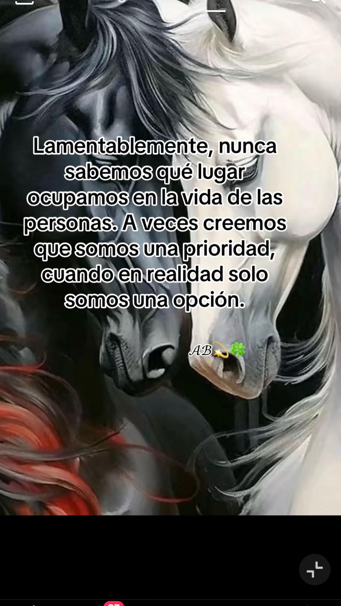 @deliciaare