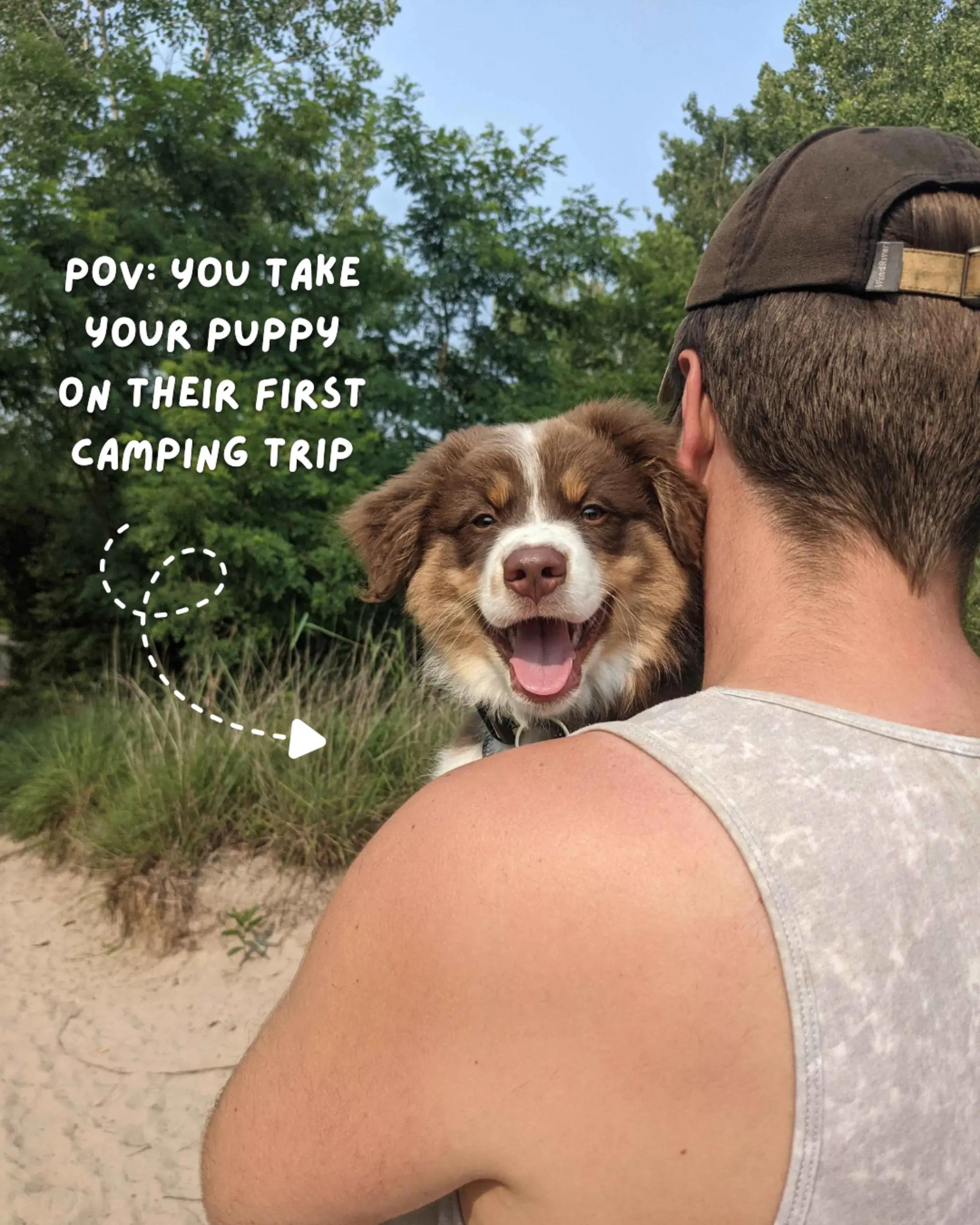 @Carly | Pet + Home Creator