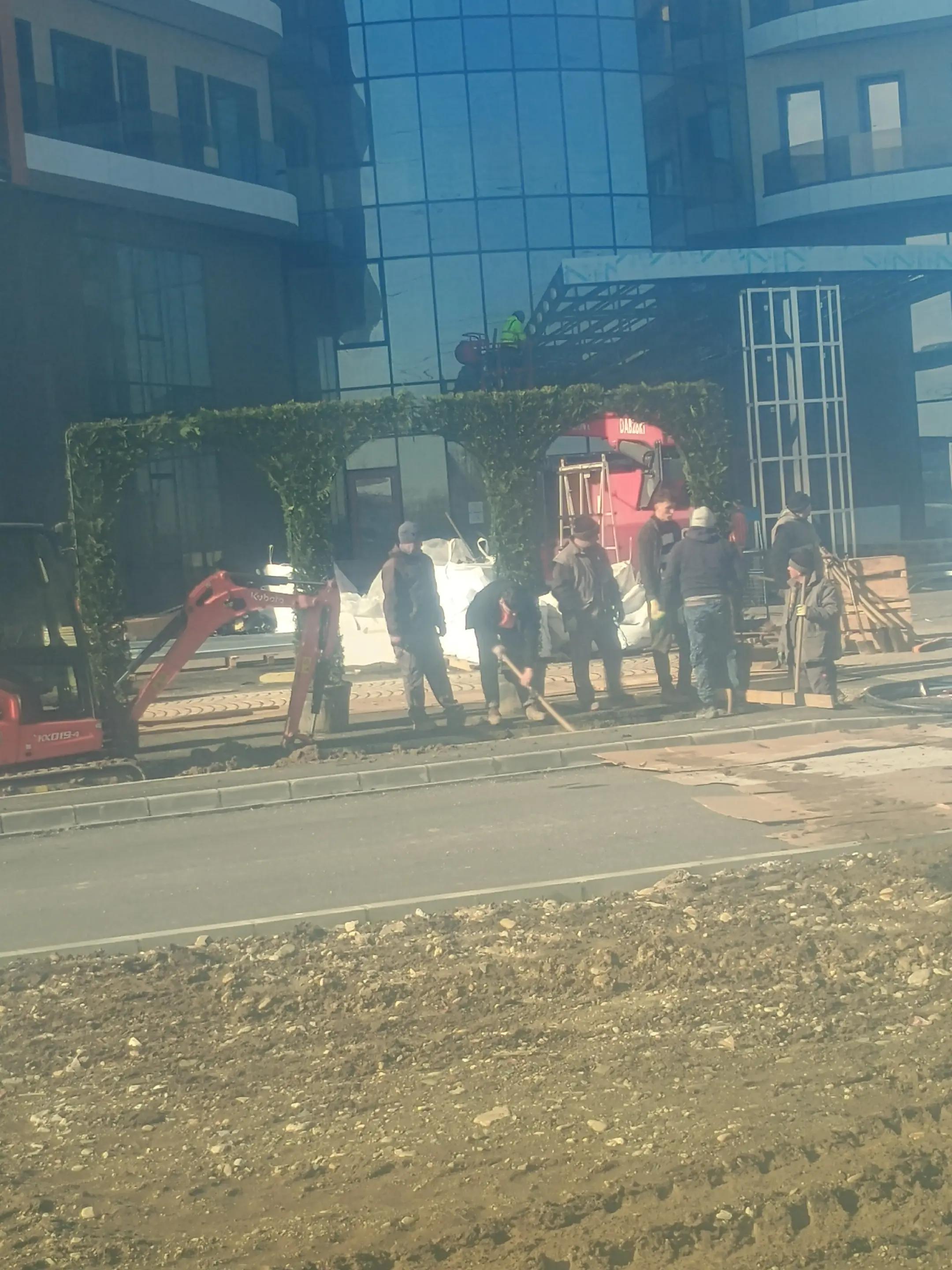 @Adișor