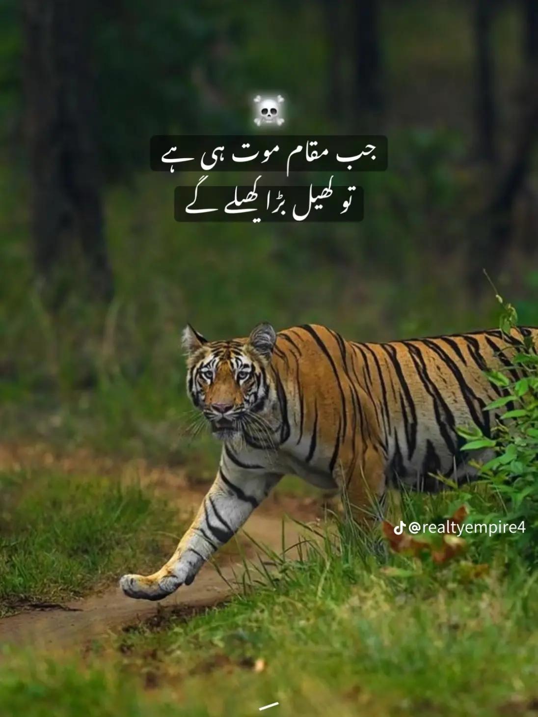 @Sheikh Sher Baadshah