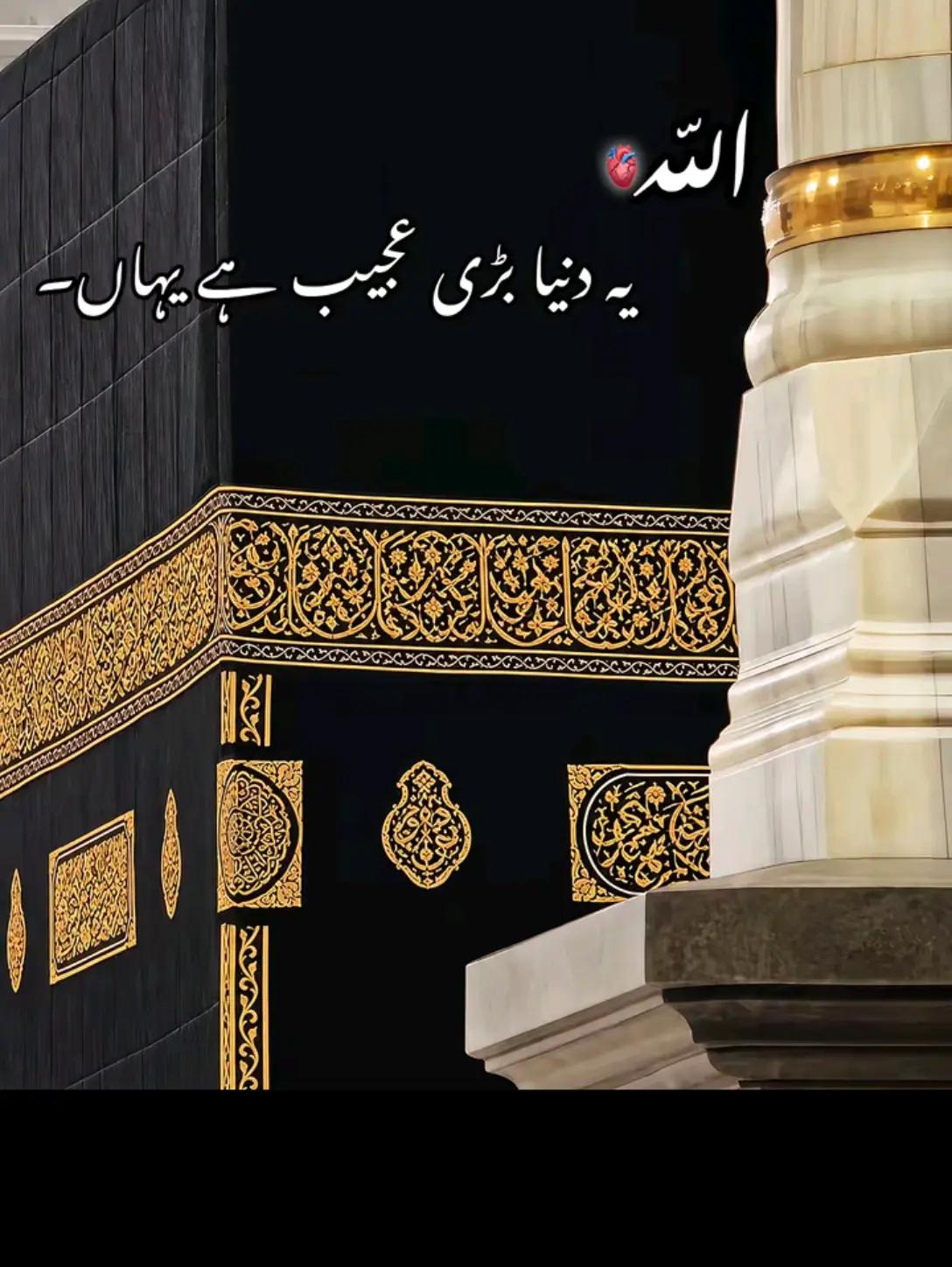 @arslan jani