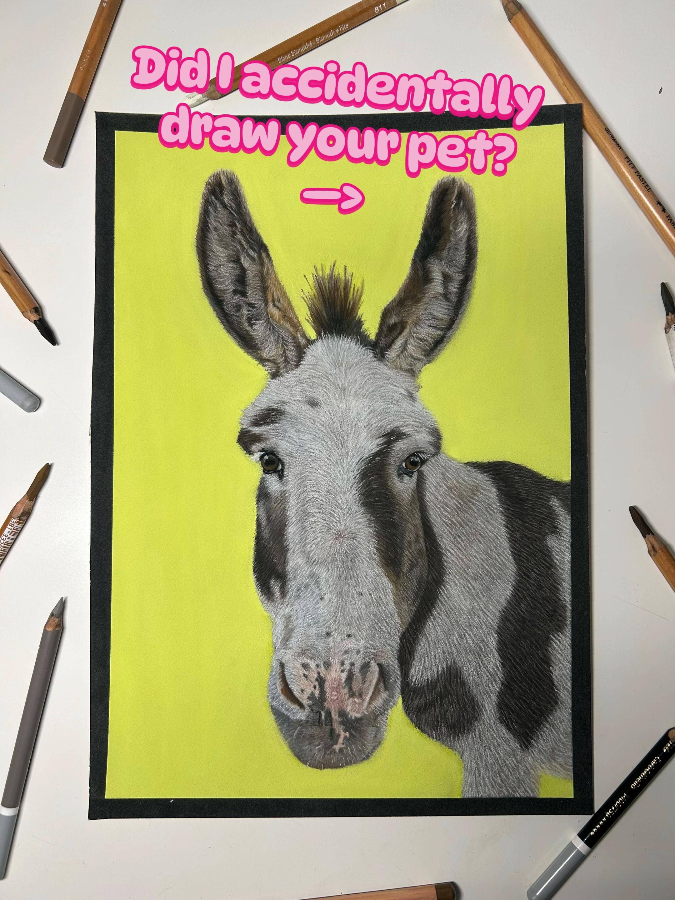 @Pet portraits