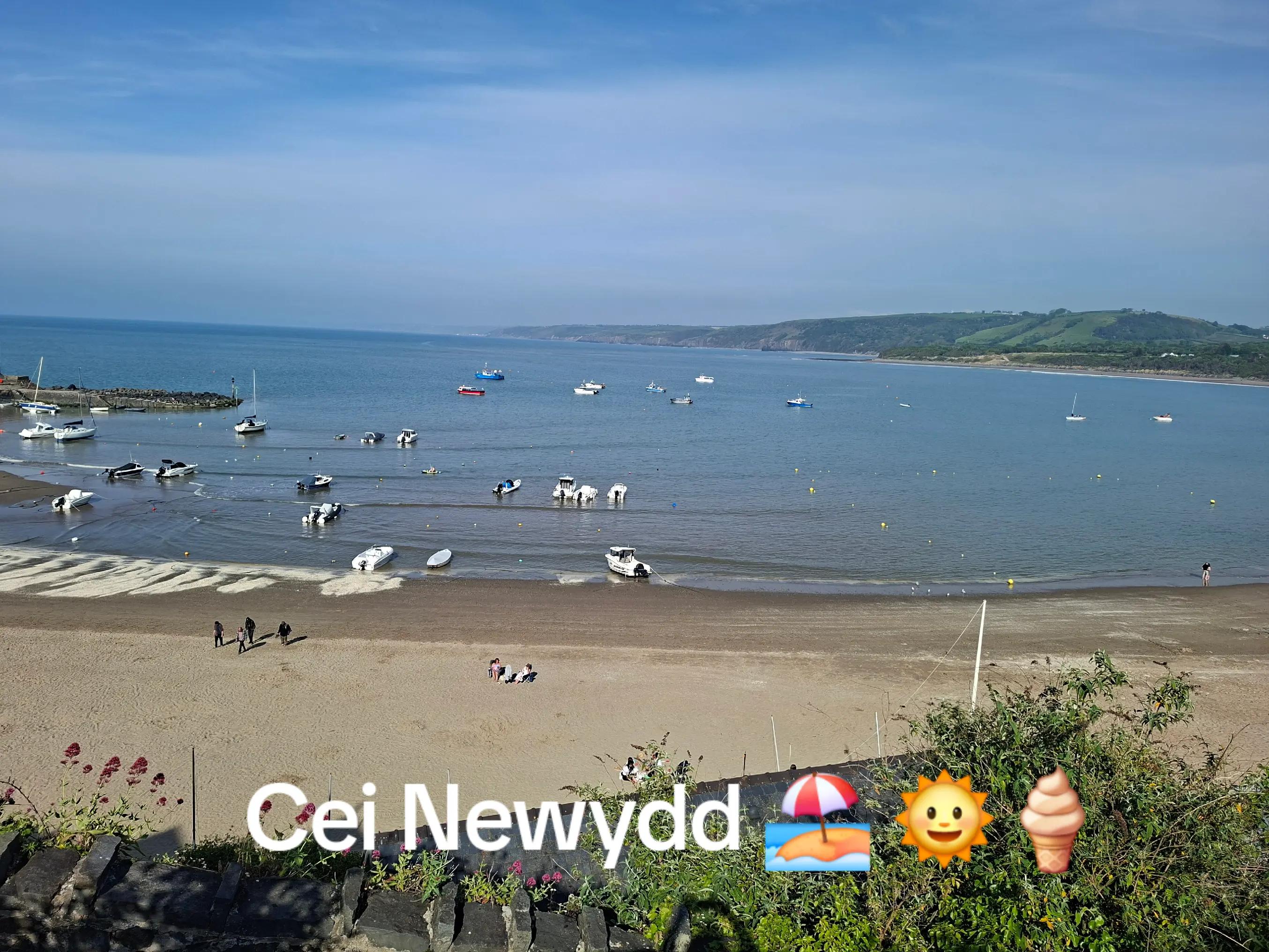 @Brynmyrddinwestwalesgetaway