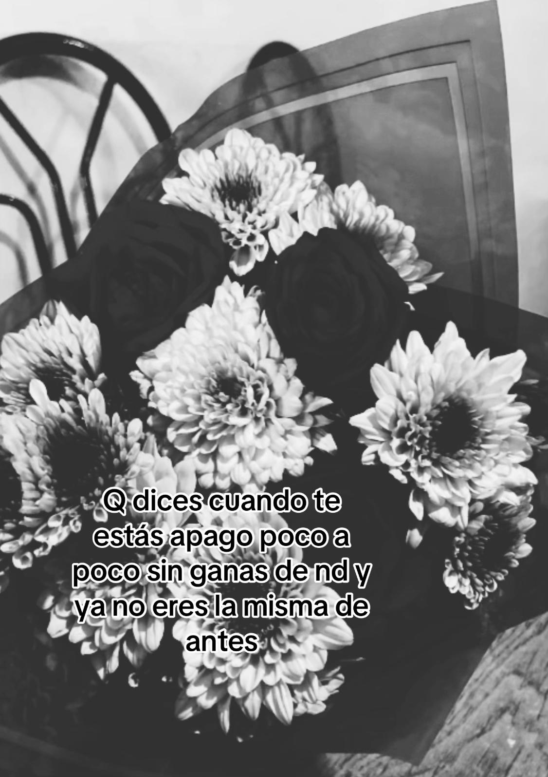 @𝓐.💞