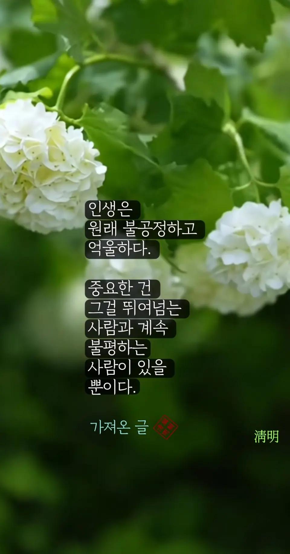@시인/이정범(淸明)