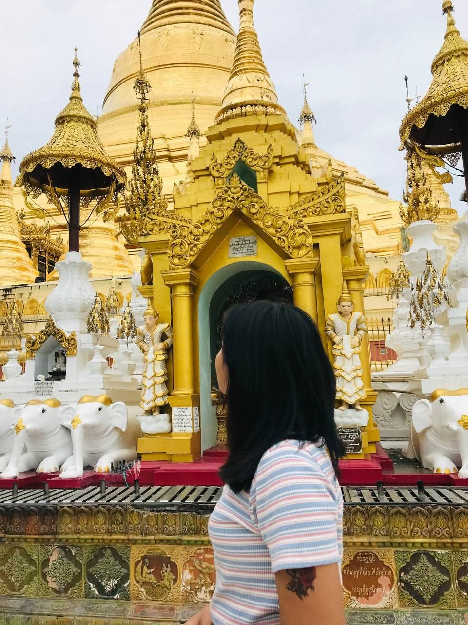 @အဲလက်စ် 🌱