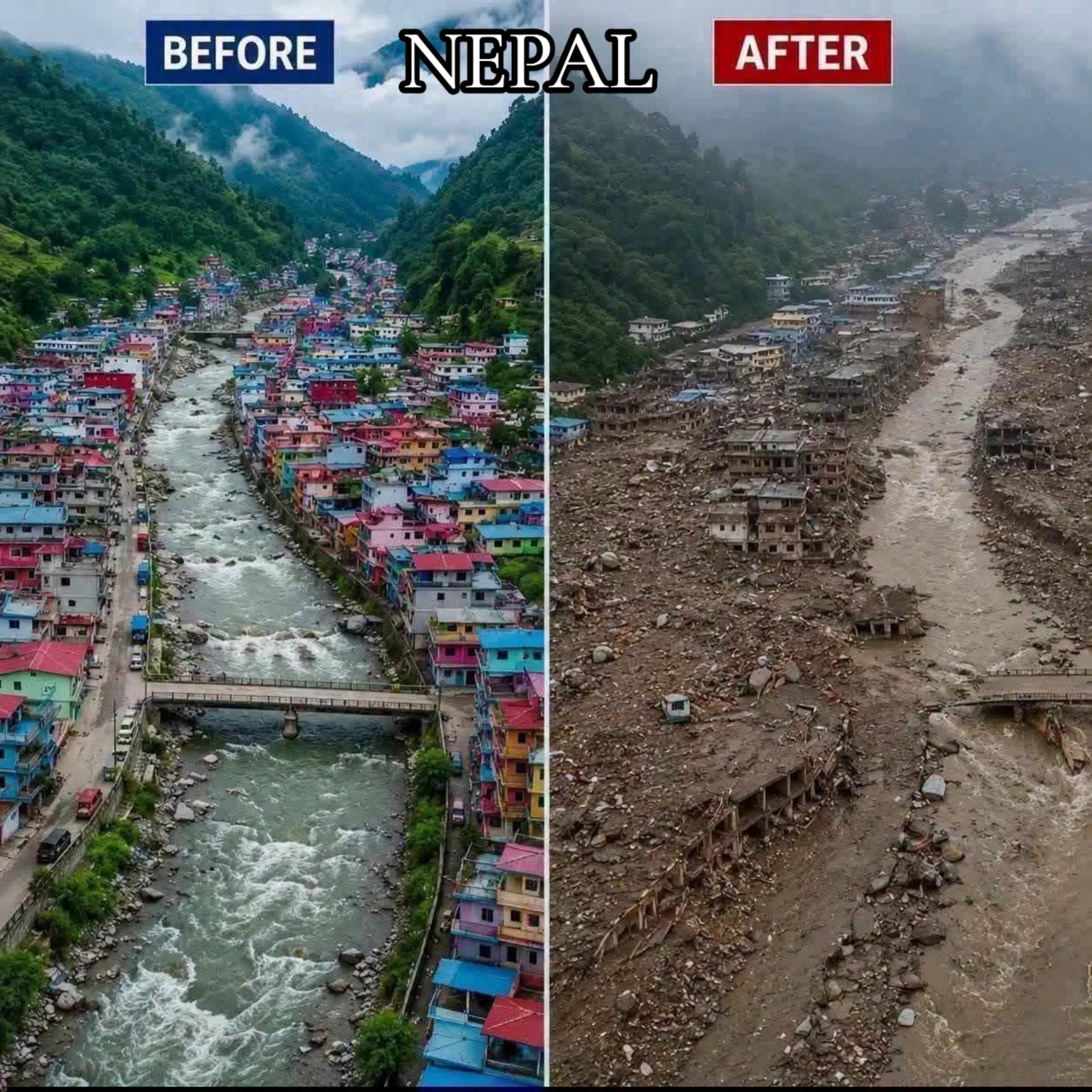 @YADAV सरकार