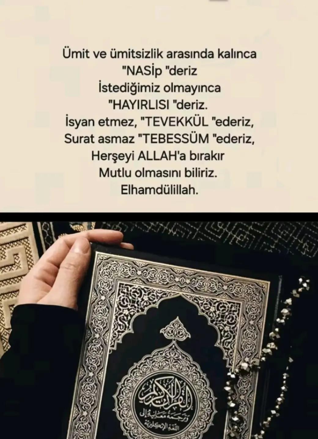 @Fatma Güzelaydın