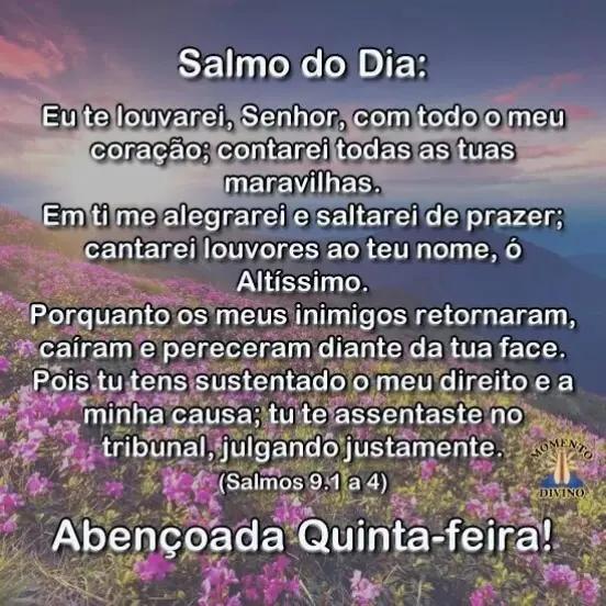 @José carlos