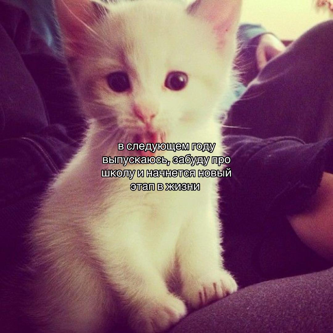 @бананова