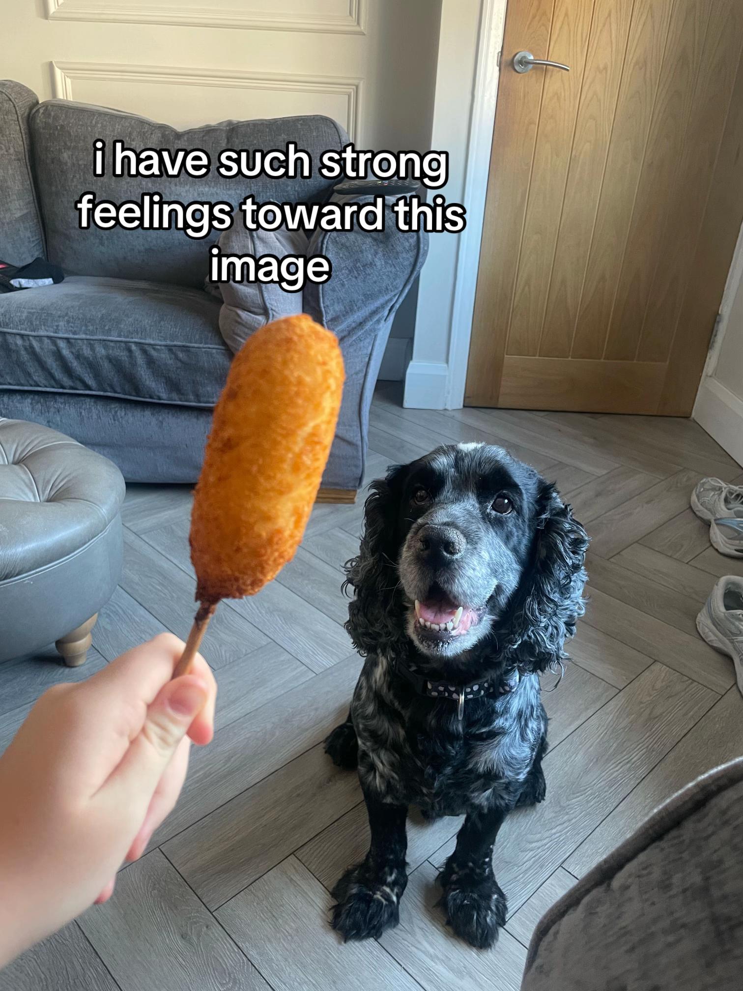 @poppyᵒᵗ⁴